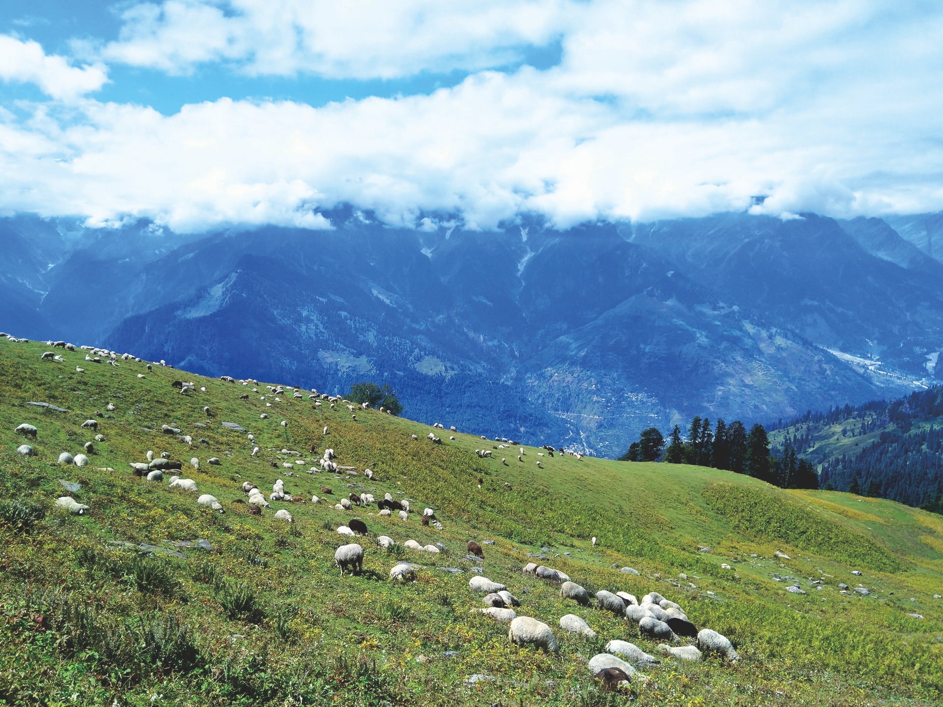 Cloud-shrouded green ridges above Buran Ghati, remote and moody