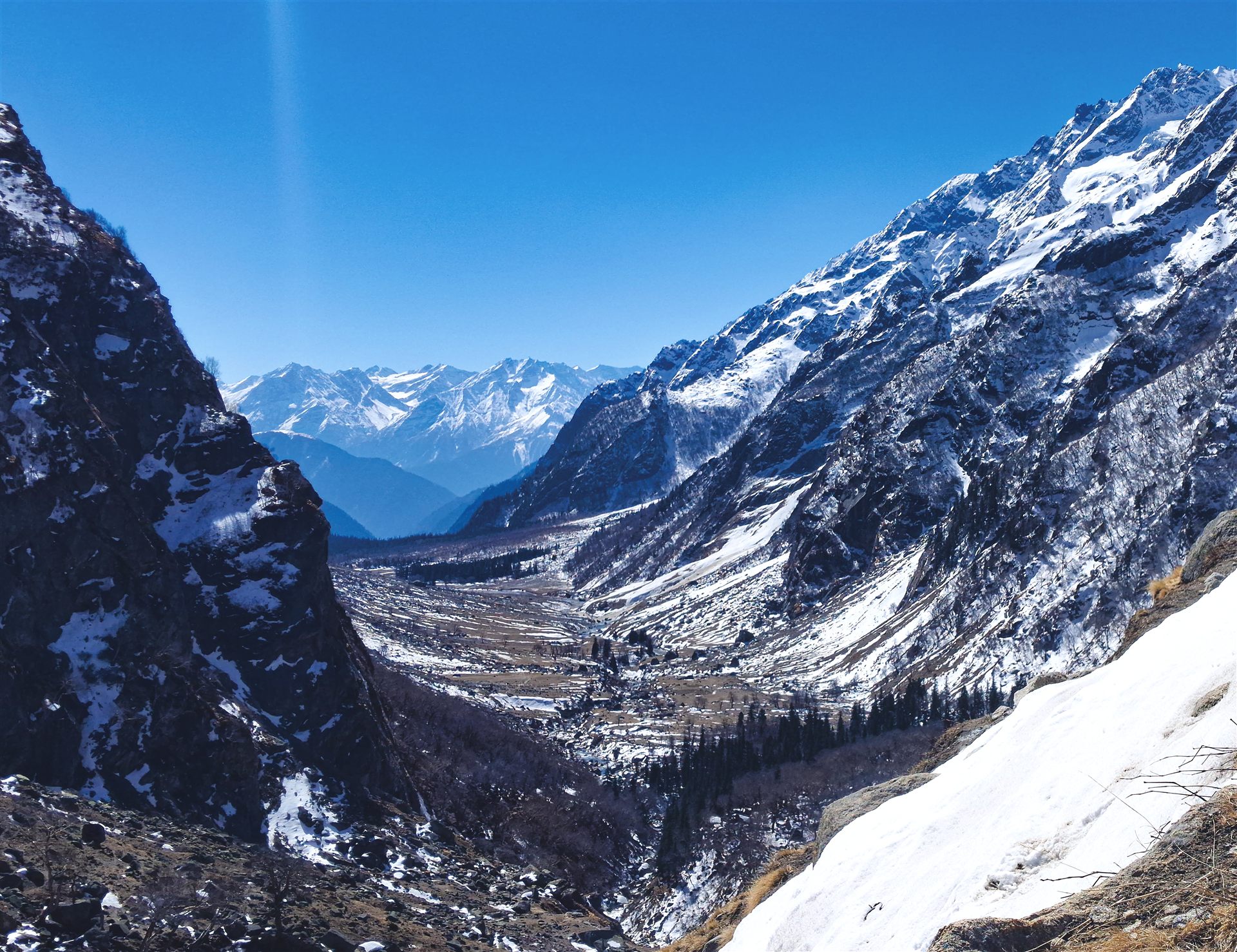 Wildflowers in the foreground below the snow-streaked Pin Bhaba summit